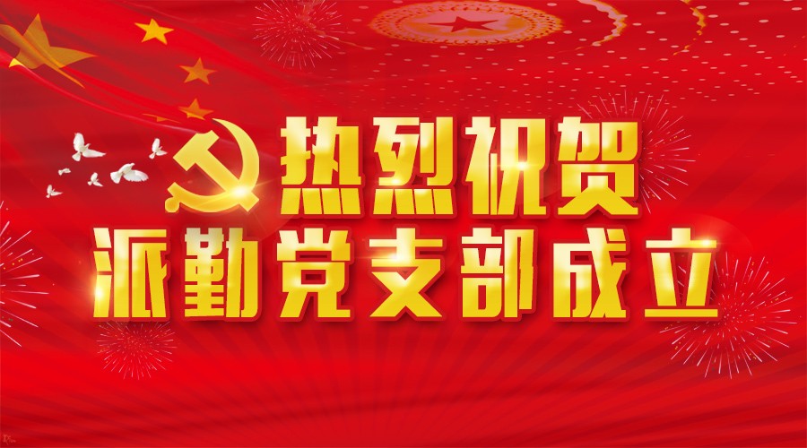 派勤公司成立黨支部 以黨建工作激發(fā)企業(yè)凝聚力